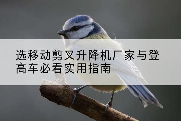 保德电动升降机厂家-选移动剪叉升降机厂家与登高车必看实用指南
