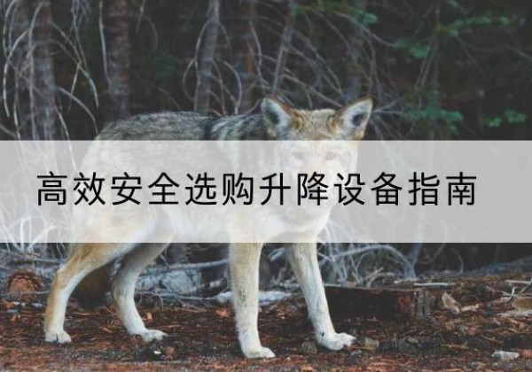 保德升降货梯厂家推荐-*安全选购升降设备指南